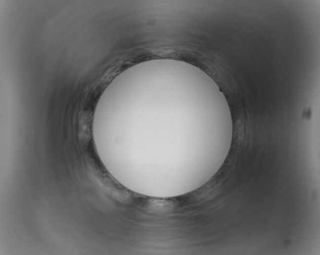 X0000113910234200909241313