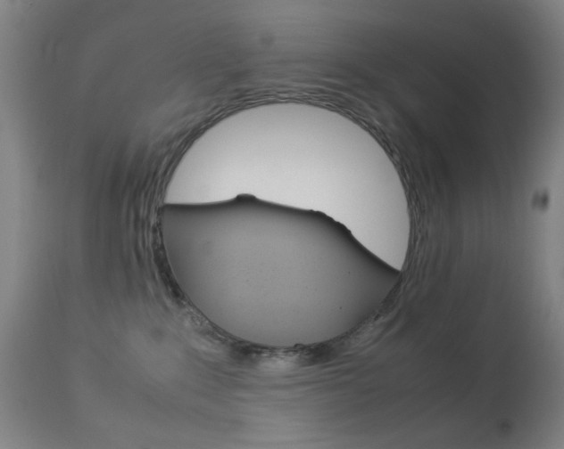 X0000113910235200909241313