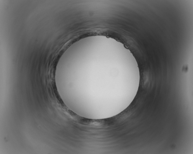 X0000113910236200909241313