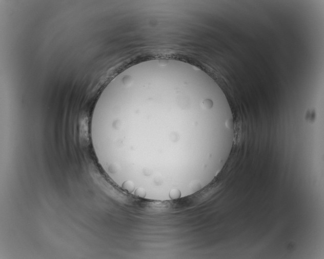 X0000113910238200909241313