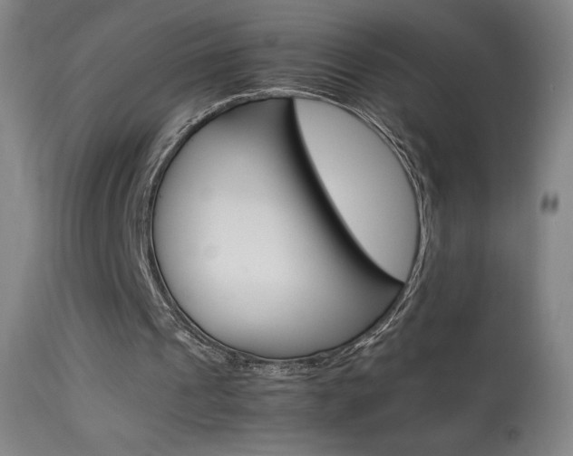 X0000113910241200909241312