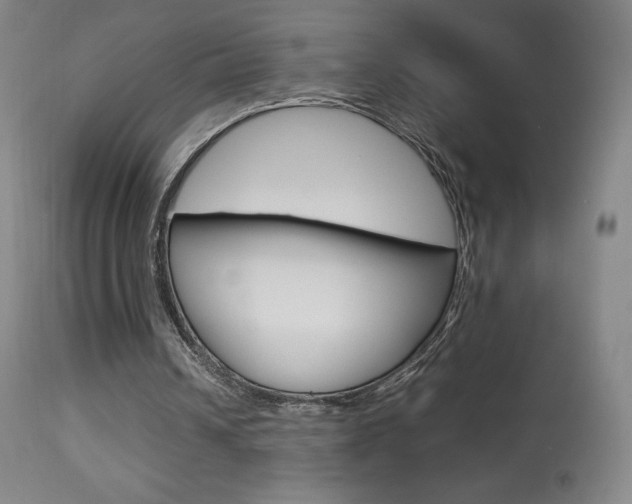 X0000113910242200909241312