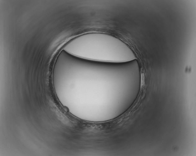 X0000113910243200909241312