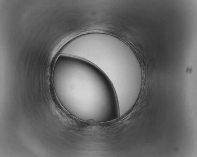 X0000113910244200909241312