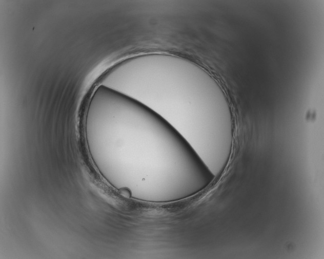 X0000113910246200909241312