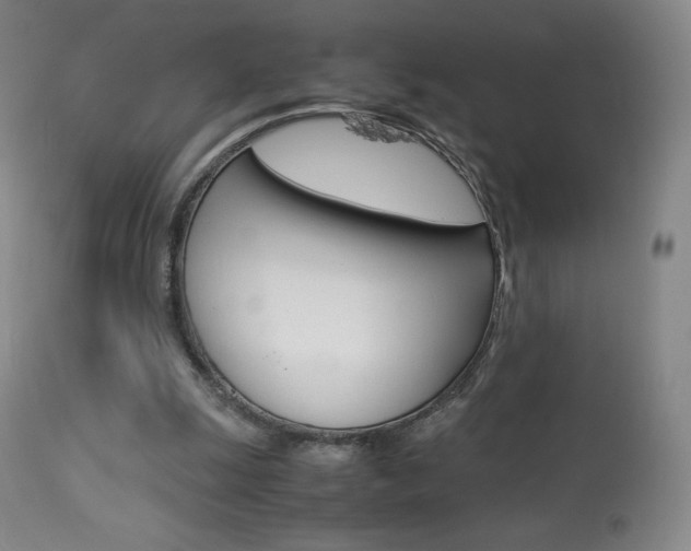 X0000113910247200909241312