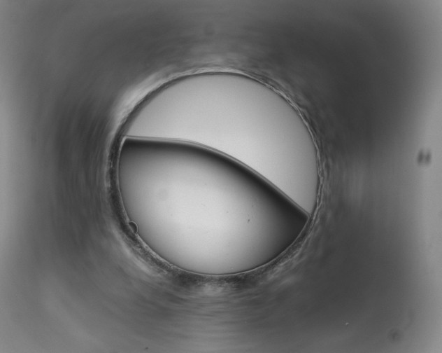 X0000113910248200909241312