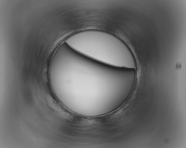 X0000113910249200909241312