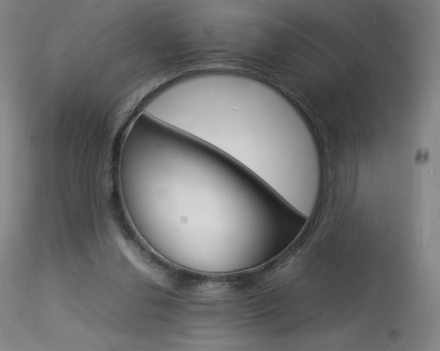X0000113910252200909241312