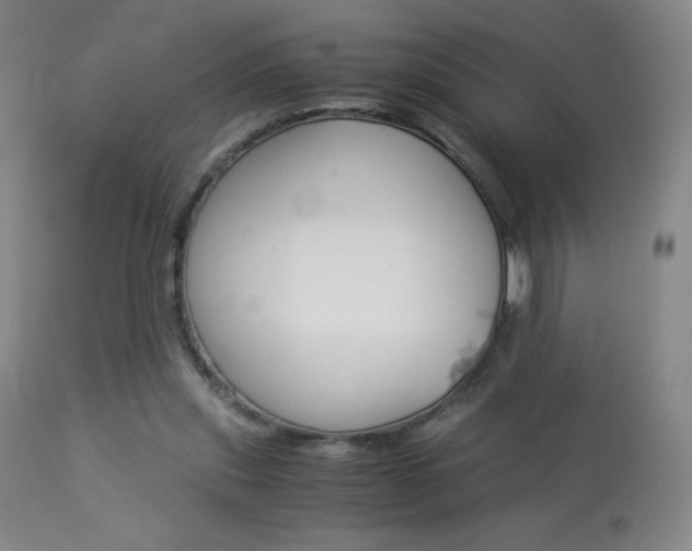 X0000113910253200909241312