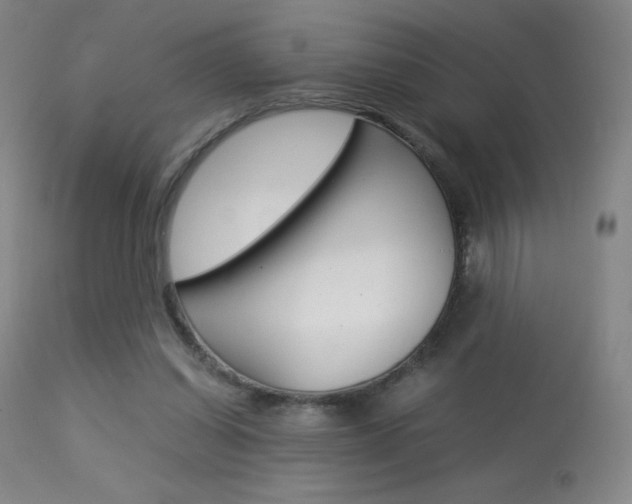X0000113910254200909241312