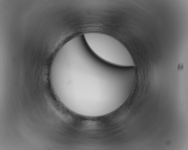 X0000113910255200909241312