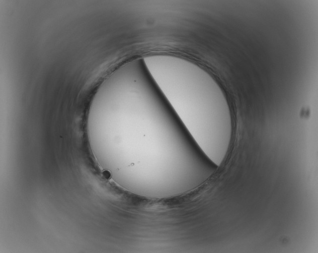 X0000113910258200909241313