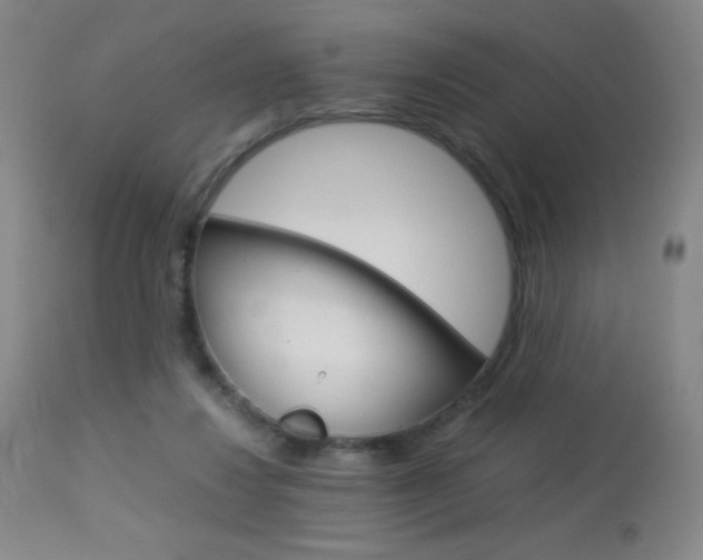 X0000113910260200909241313