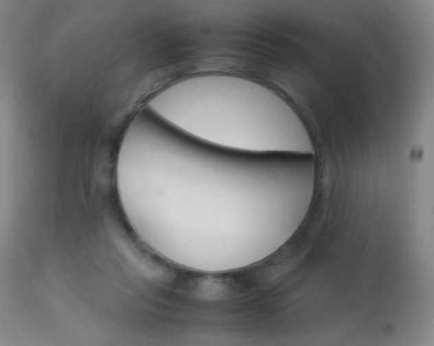 X0000113910261200909241313