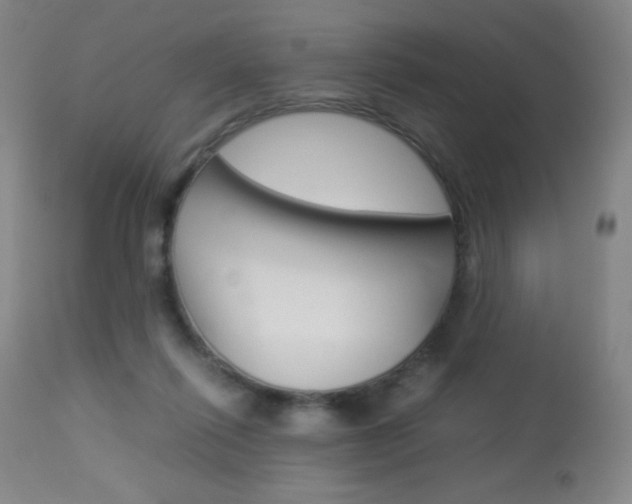 X0000113910262200909241313