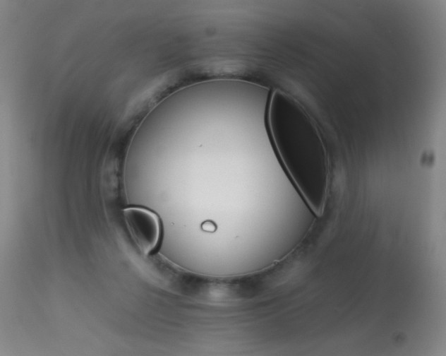X0000113910264200909241313