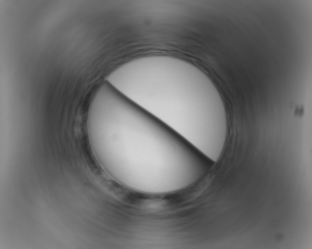 X0000113910266200909241313