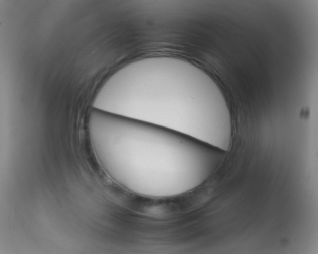 X0000113910267200909241313