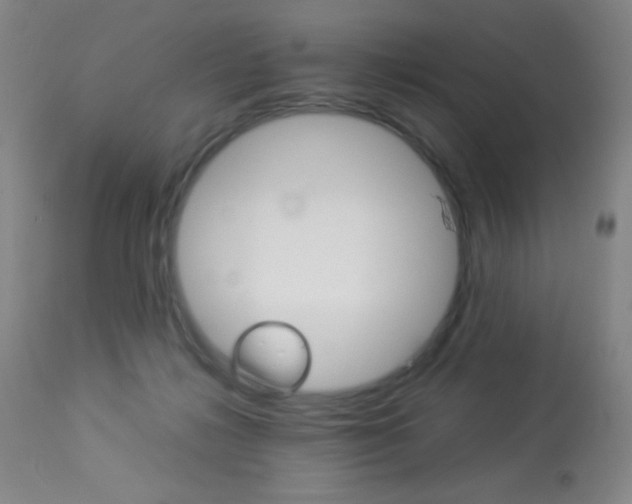 X0000113910268200909241313
