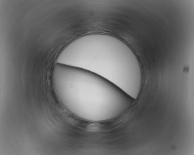 X0000113910269200909241313