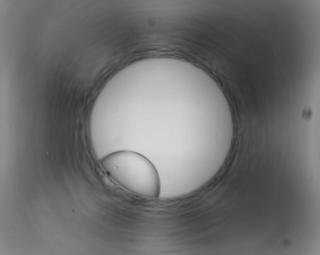 X0000113910272200909241313