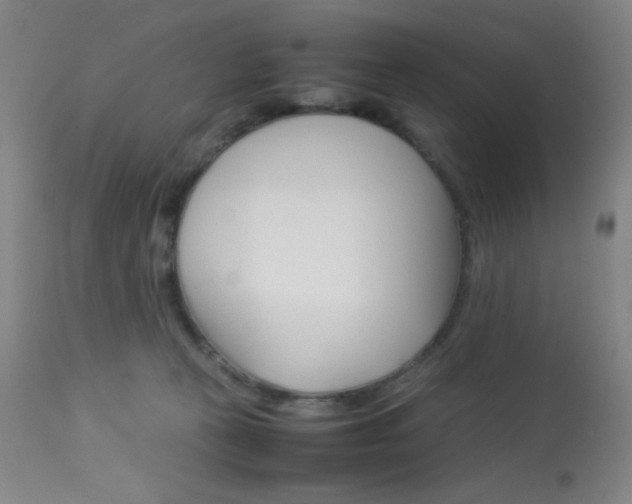 X0000113910273200909241313