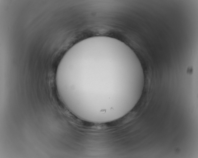 X0000113910274200909241313