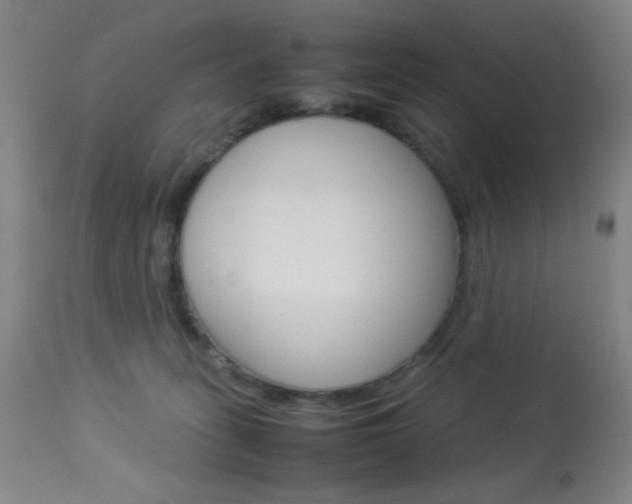X0000113910275200909241313