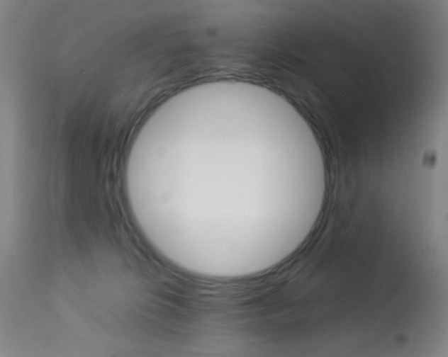 X0000113910276200909241313