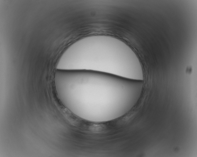 X0000113910277200909241313
