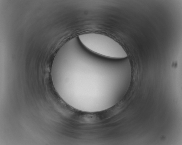 X0000113910279200909241313