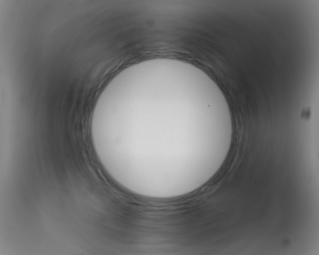 X0000113910280200909241313
