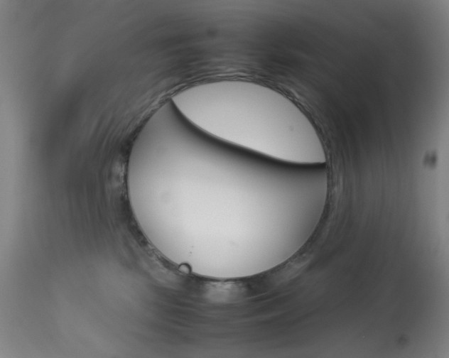 X0000113910281200909241313