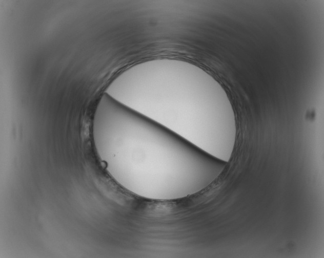 X0000113910282200909241313
