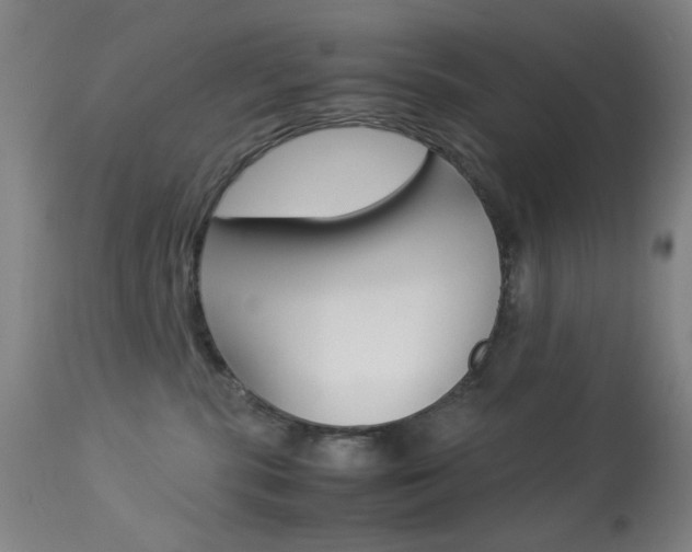 X0000113910283200909241313