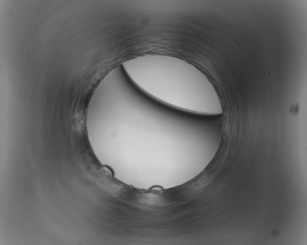 X0000113910285200909241313