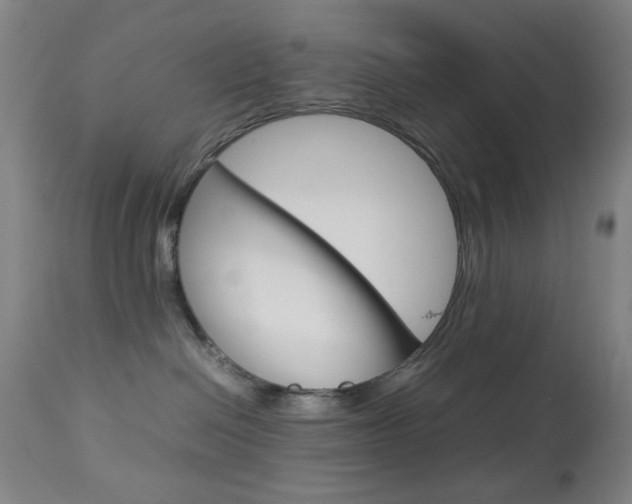 X0000113910286200909241313