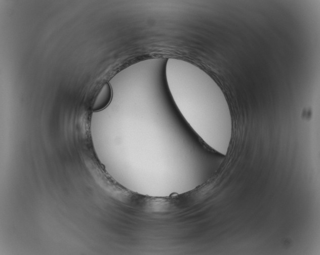 X0000113910287200909241313