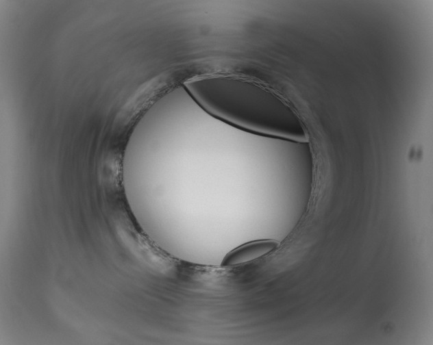 X0000113910288200909241313