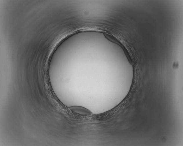 X0000113910289200909241312