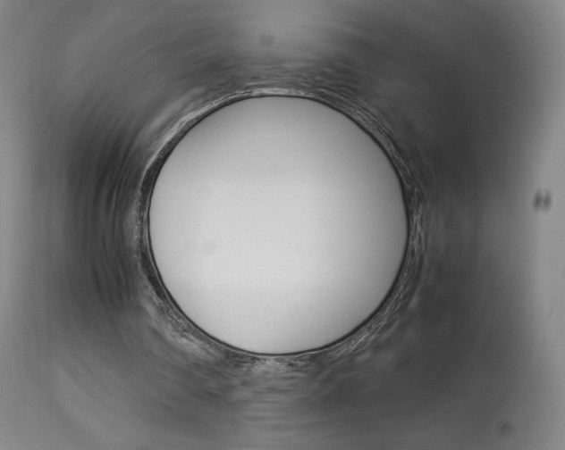 X0000113910290200909241312