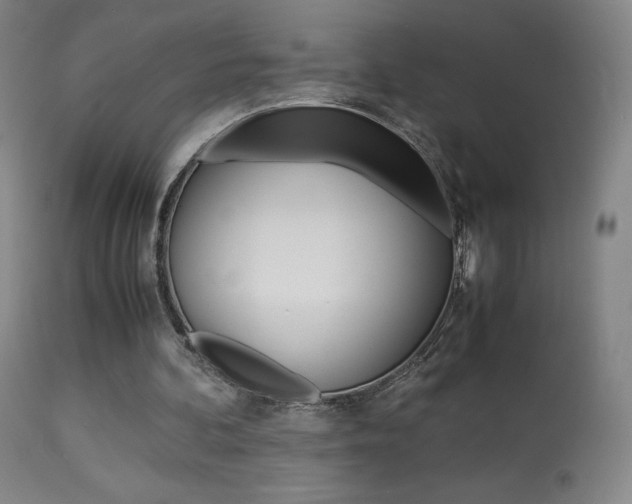 X0000113910292200909241312