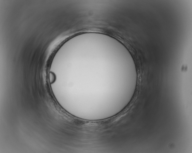 X0000113910294200909241312