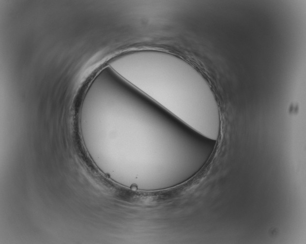 X0000113910295200909241312