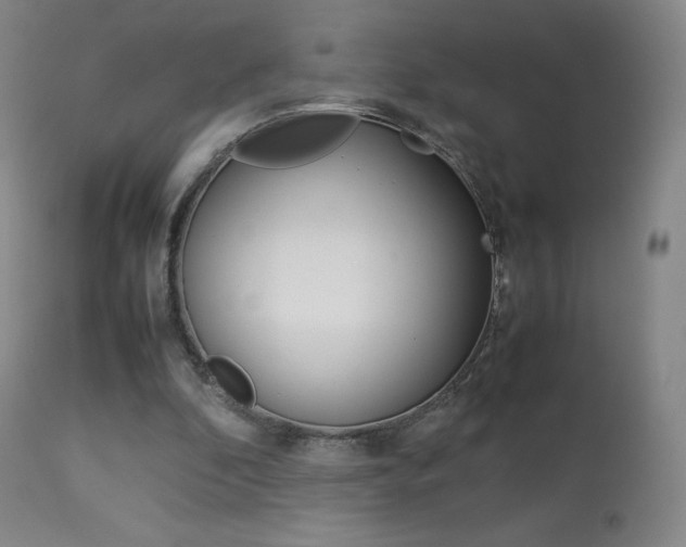 X0000113910296200909241312