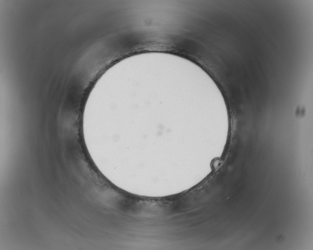 X0000113910297200909241312