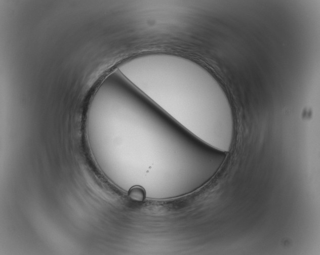 X0000113910299200909241312
