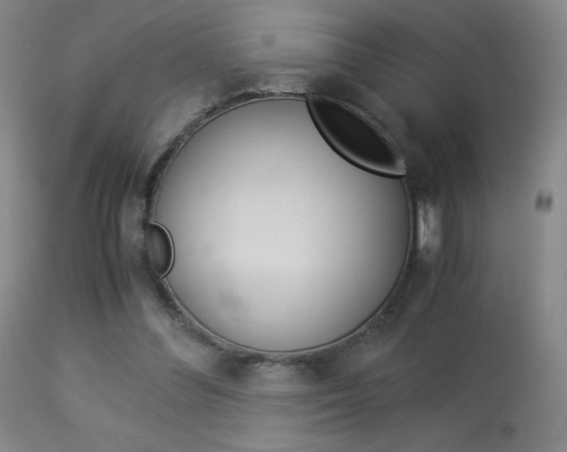 X0000113910300200909241312