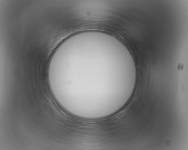 X0000113910301200909241312